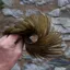 Whiting Exclusive WET Fly Hen Cape in Dark Olive